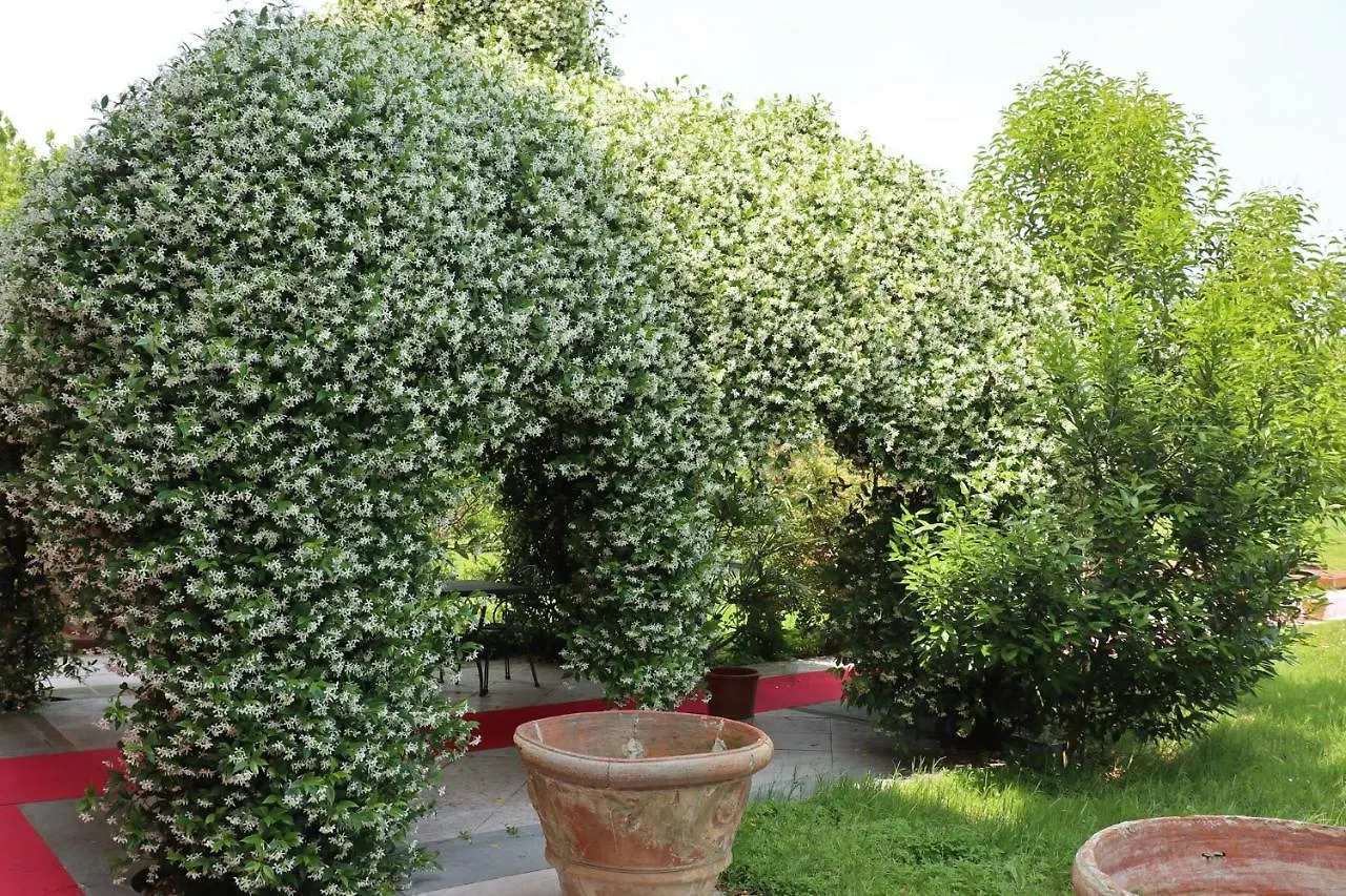 Villa La Fenice Locazione Turistica Treviso 0*,